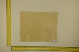 [21-4050-21-073] DINA Parchment sheet for digital printing 30 x 40 Cm ID.073