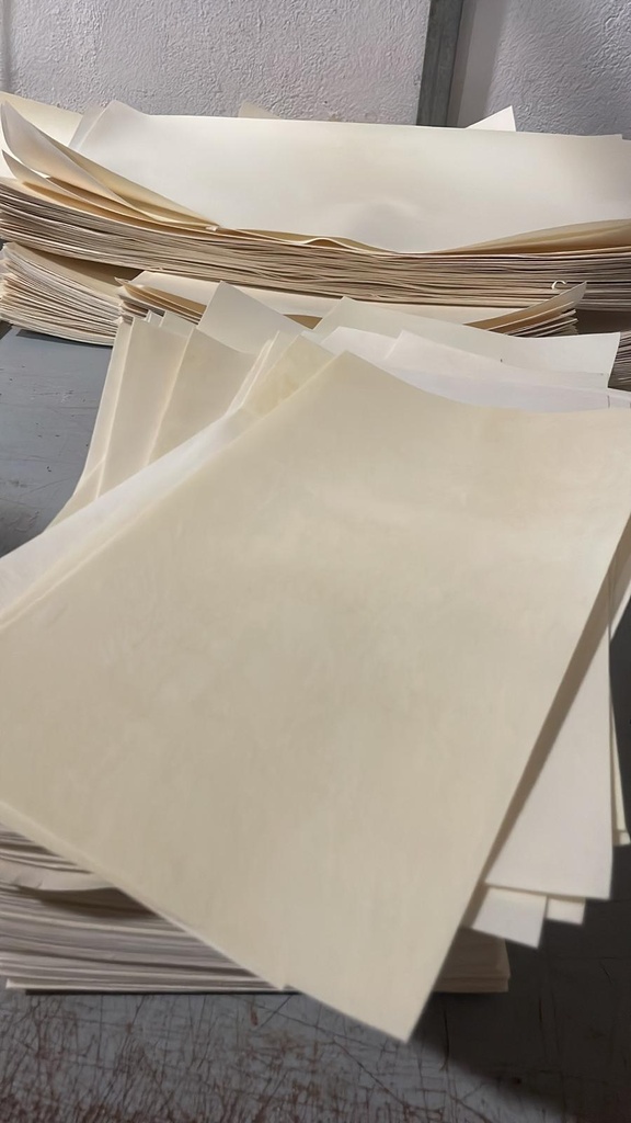 paquete de 100 formatos de Pergamino en piel de Cordero