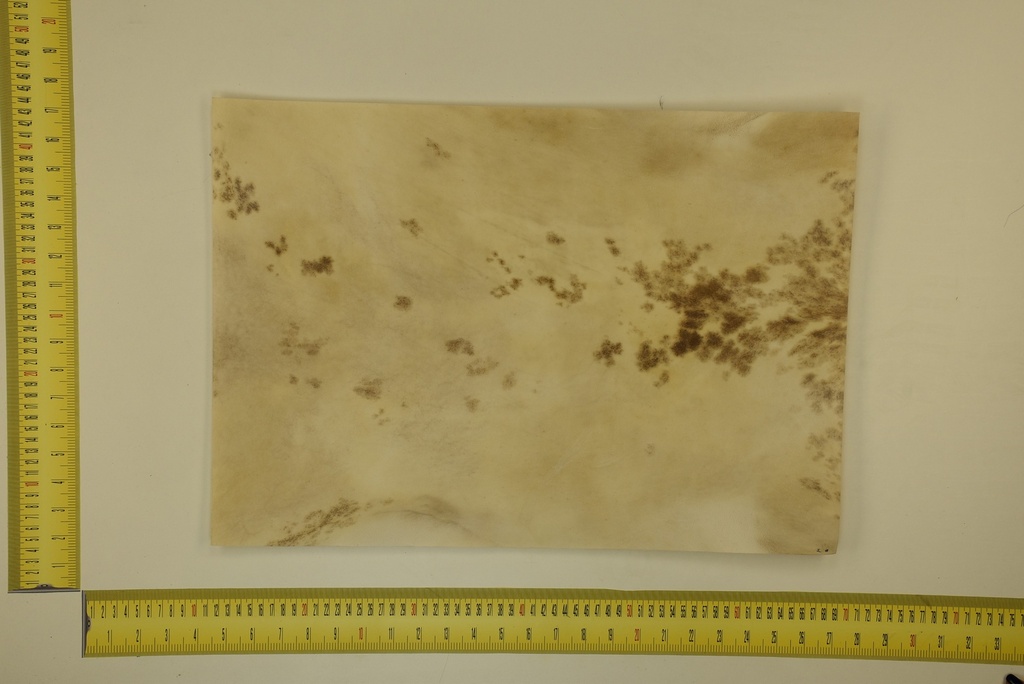 Speckled sheet 53 X 37 2ª ID.006
