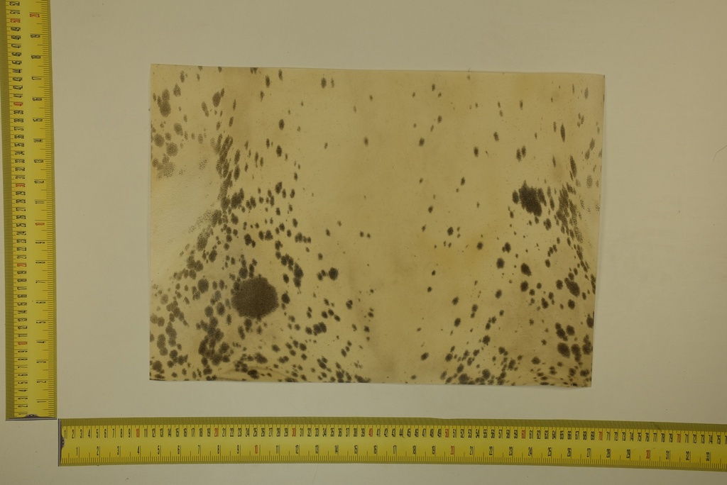 Speckled sheet 53 X 37 2ª ID.010