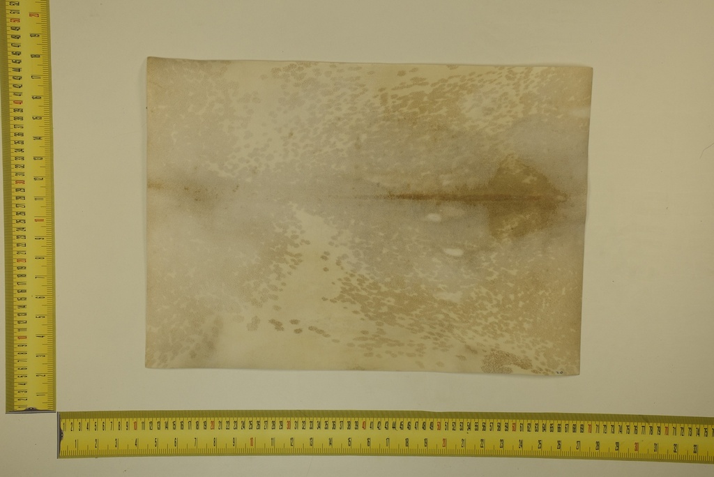 Speckled sheet 53 X 37 2ª ID.015