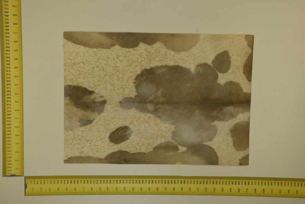 Speckled sheet 53 X 37 2ª ID.022