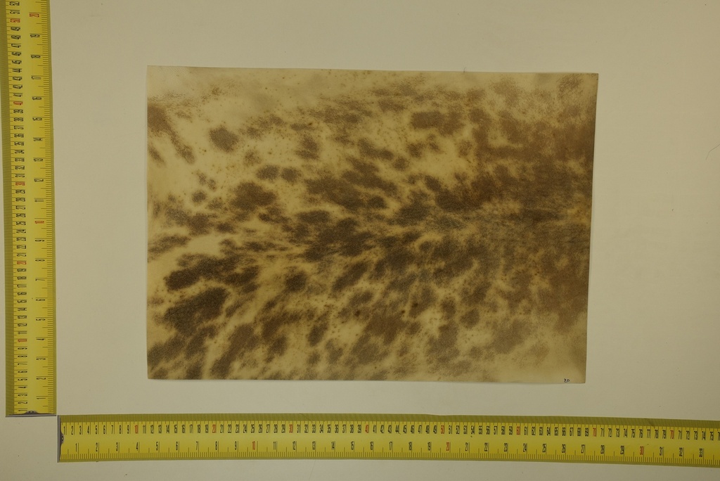 Formato moteado 53 X 37 2ª ID.024