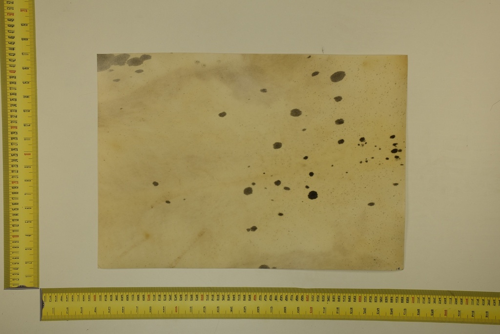 Speckled sheet 53 X 37 2ª ID.026