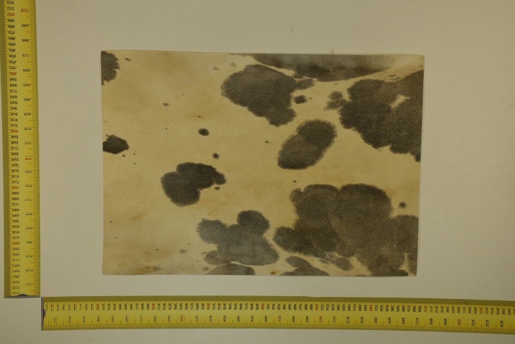 Speckled sheet 53 X 37 2ª ID.032