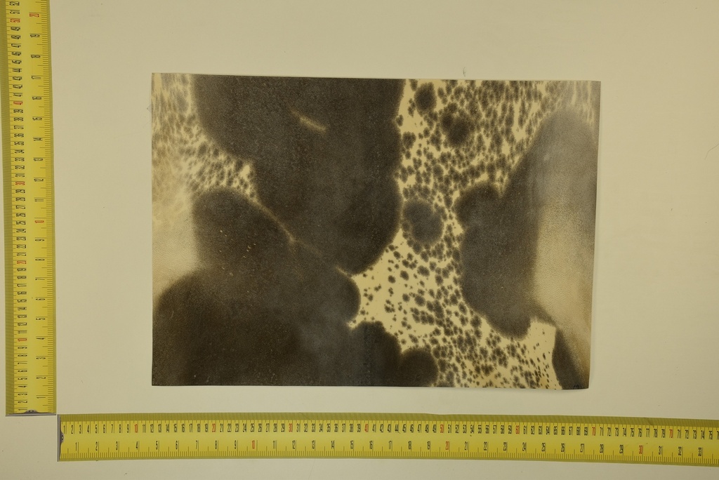 Speckled sheet 53 X 37 2ª ID.033