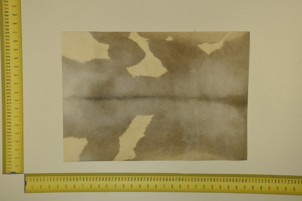 Speckled sheet 53 X 37 2ª ID.037
