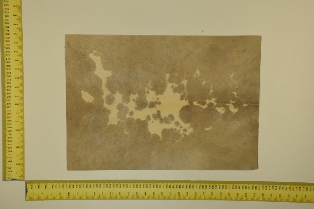 Speckled sheet 53 X 37 2ª ID.039