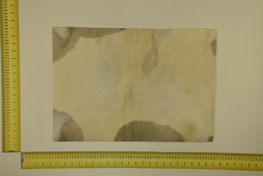 Speckled sheet 53 X 37 2ª ID.042