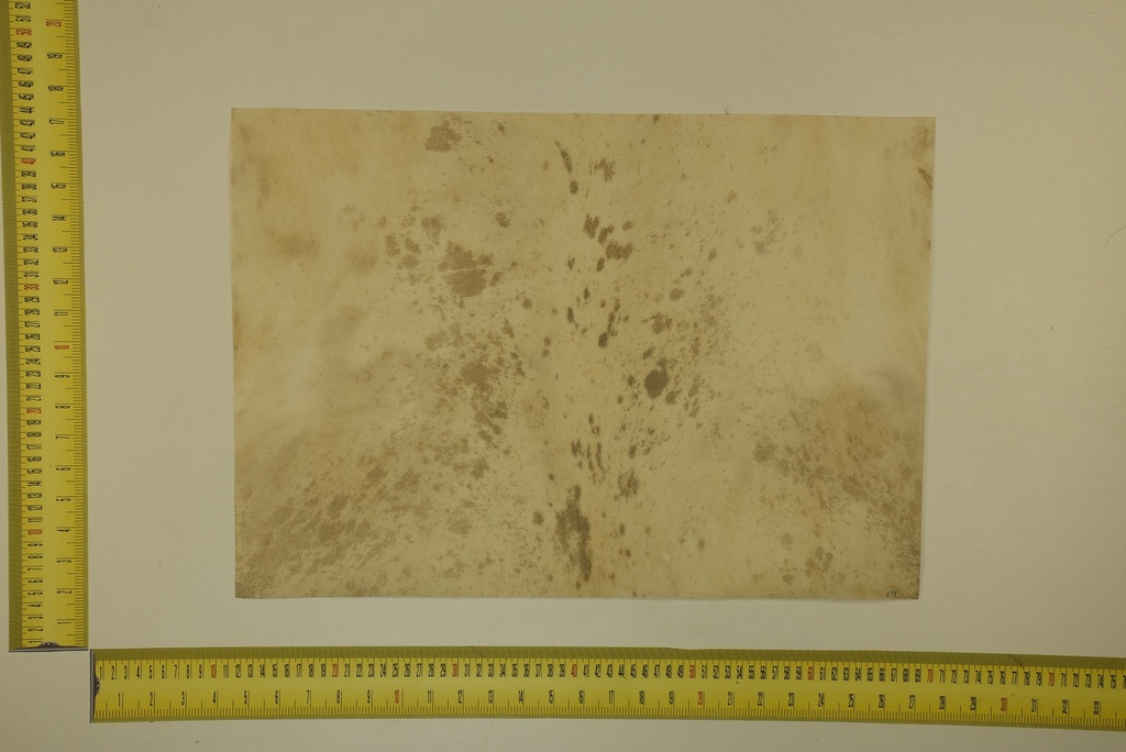 Speckled sheet 53 X 37 2ª ID.047