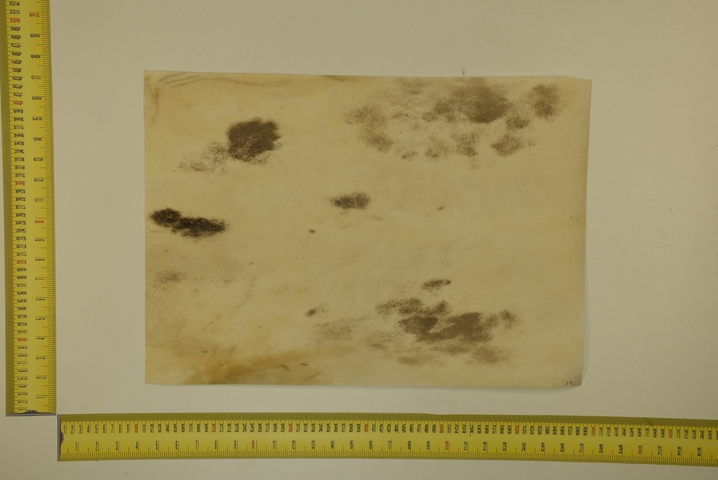 Speckled sheet 53 X 37 2ª ID.052