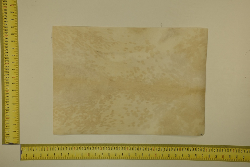 Speckled sheet 53 X 37 2ª ID.053
