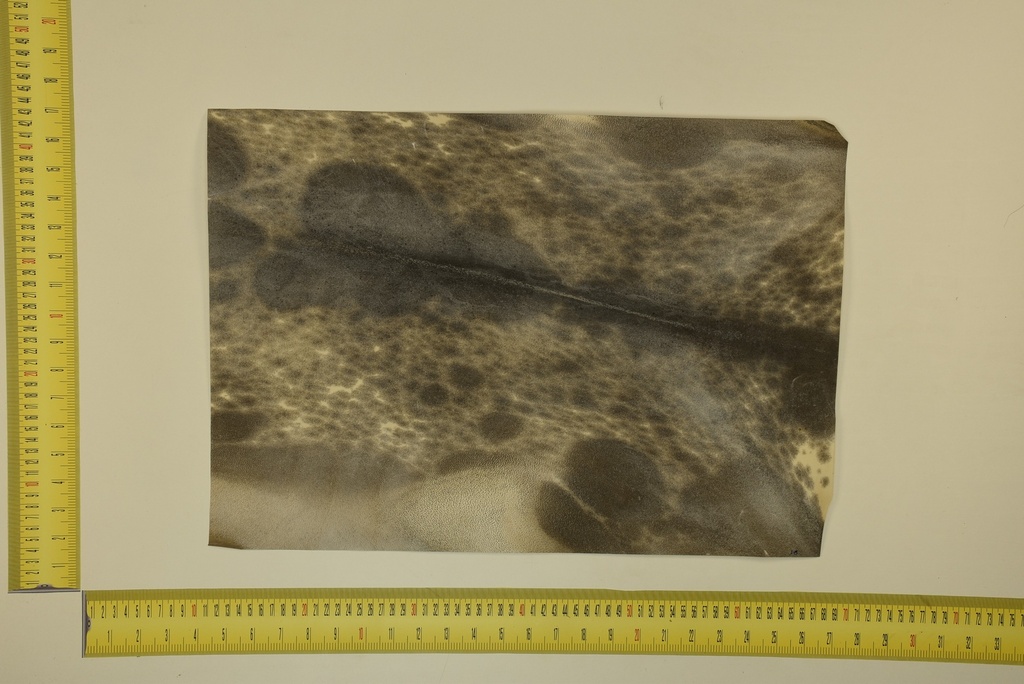 Speckled sheet 53 X 37 2ª ID.058