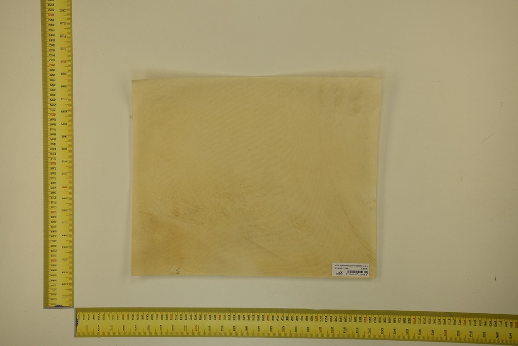 DINA Parchment sheet for digital printing 30 x 40 Cm ID.068