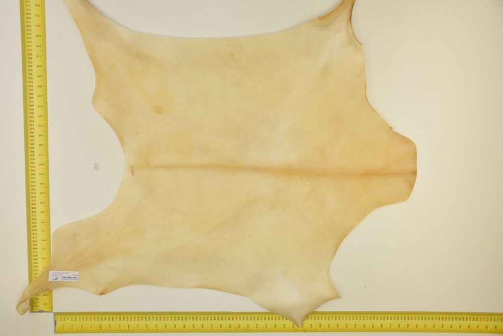 Natural goatling skin ID.018