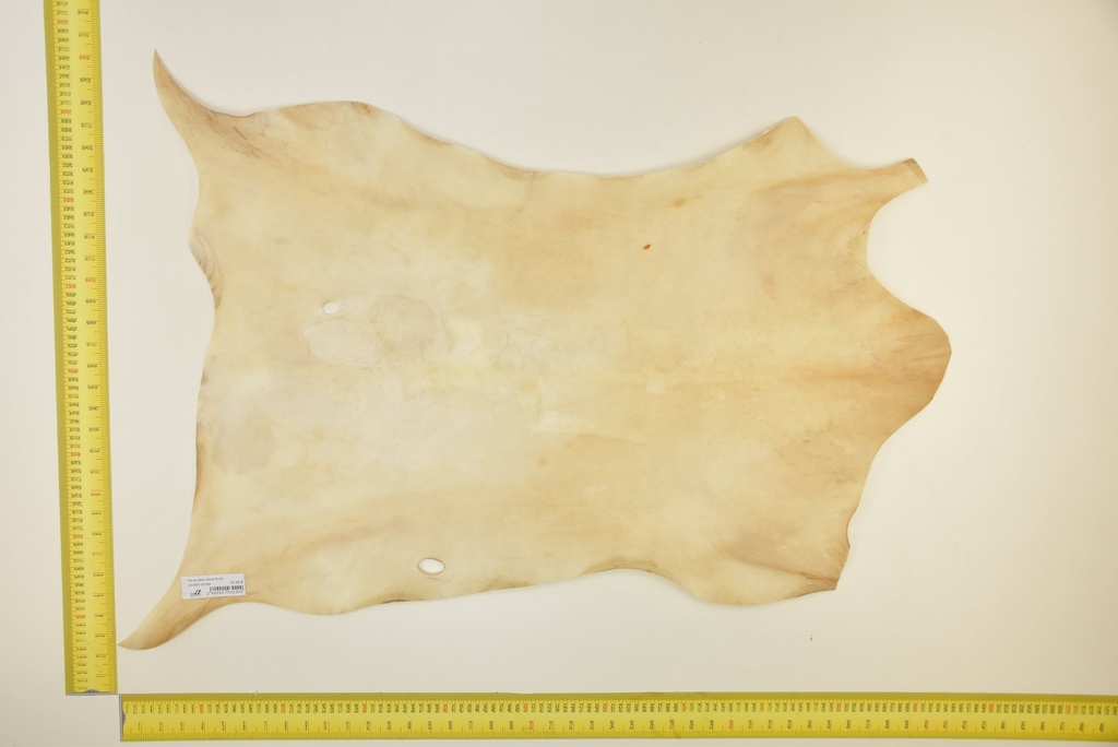 Natural goatling skin ID.019