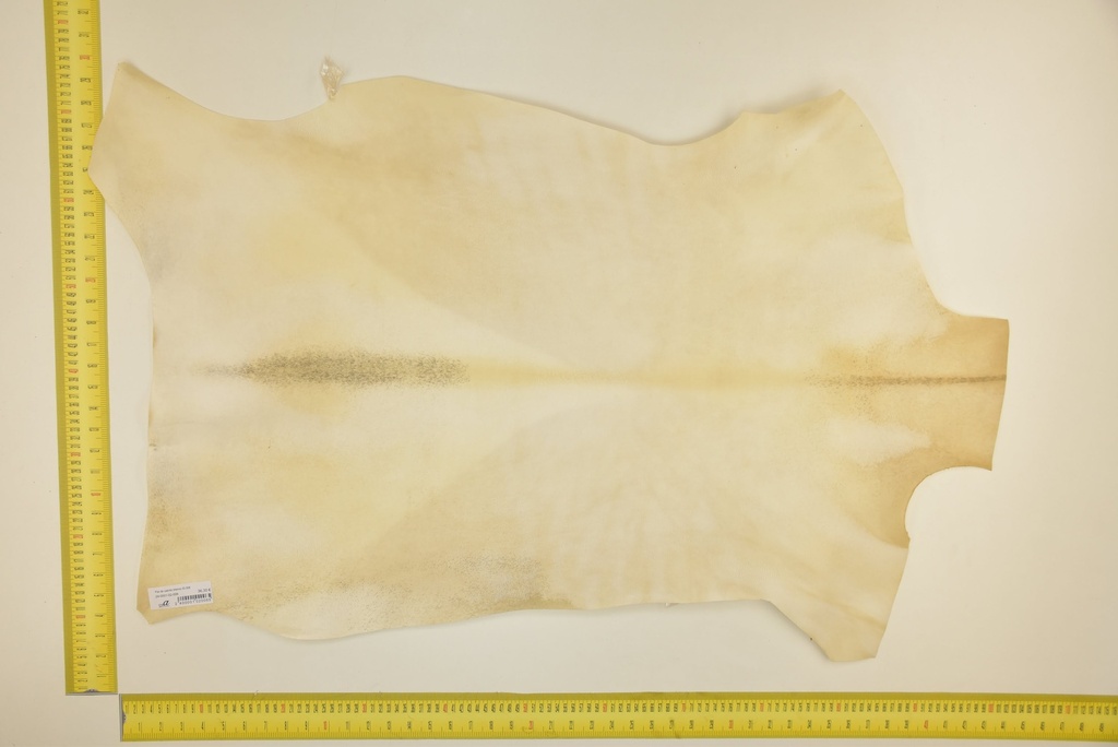 Piel de cabrito blanco ID.006
