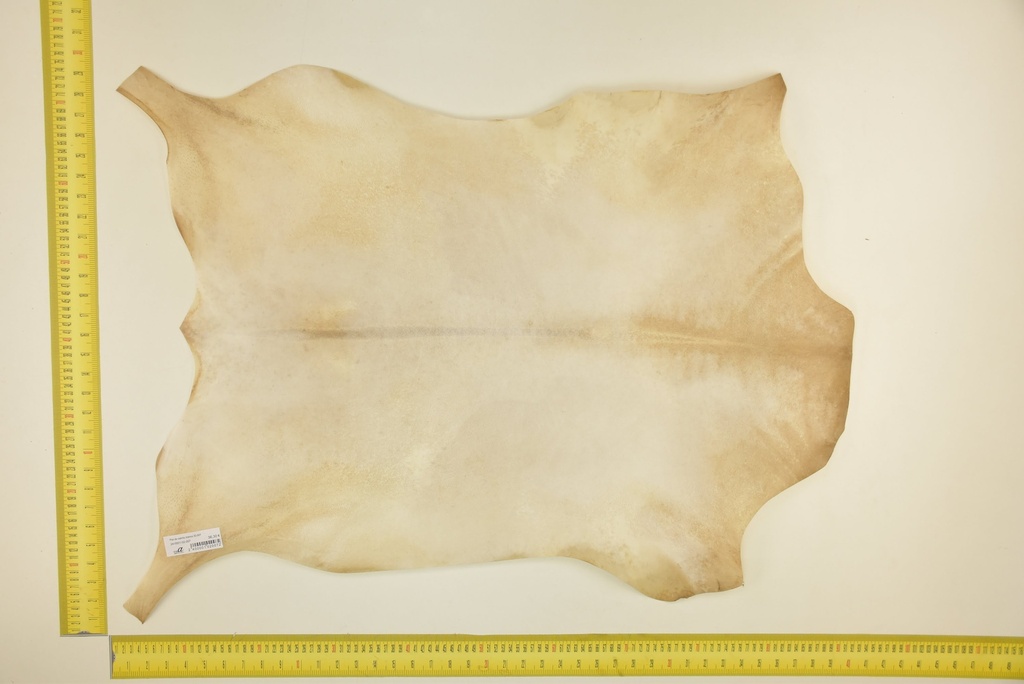 White goatling skin ID.007