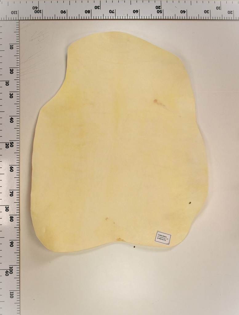 Cordero Blanco 22-0000-02-074