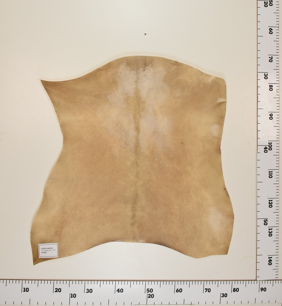 Cabrito Marrón ID040