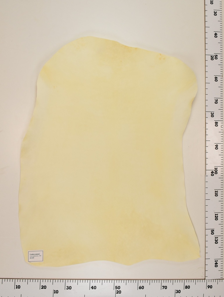 Cordero Natural ID035