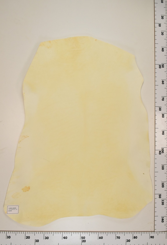 Cordero Natural ID075