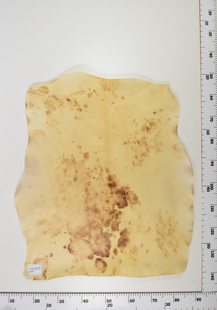 Cordero Envejecido ID004