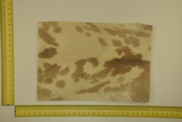 [22-5337-26-001] Speckled sheet 53 X 37 2ª ID.001