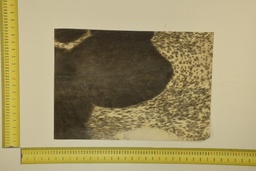 [22-5337-26-004] Speckled sheet 53 X 37 2ª ID.004