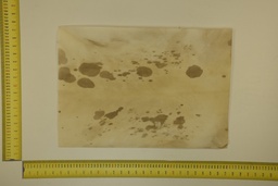 [22-5337-26-005] Speckled sheet 53 X 37 2ª ID.005