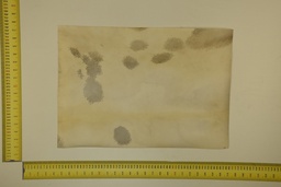 [22-5337-26-007] Speckled sheet 53 X 37 2ª ID.007