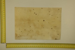 [22-5337-26-014] Speckled sheet 53 X 37 2ª ID.014