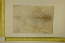 [22-5337-26-015] Speckled sheet 53 X 37 2ª ID.015