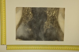 [22-5337-26-017] Speckled sheet 53 X 37 2ª ID.017