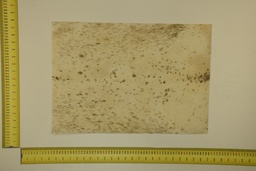 [22-5337-26-019] Speckled sheet 53 X 37 2ª ID.019
