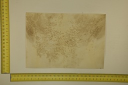 [22-5337-26-021] Speckled sheet 53 X 37 2ª ID.021