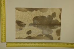 [22-5337-26-022] Speckled sheet 53 X 37 2ª ID.022