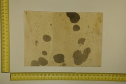 [22-5337-26-025] Speckled sheet 53 X 37 2ª ID.025