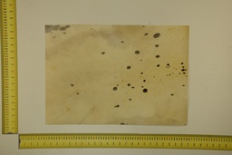 [22-5337-26-026] Speckled sheet 53 X 37 2ª ID.026