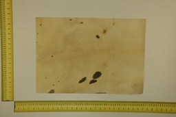 [22-5337-26-027] Speckled sheet 53 X 37 2ª ID.027