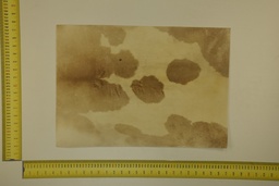 [22-5337-26-028] Speckled sheet 53 X 37 2ª ID.028