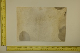 [22-5337-26-030] Speckled sheet 53 X 37 2ª ID.030