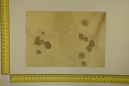 [22-5337-26-031] Speckled sheet 53 X 37 2ª ID.031