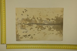 [22-5337-26-036] Speckled sheet 53 X 37 2ª ID.036