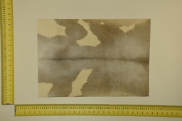 [22-5337-26-037] Speckled sheet 53 X 37 2ª ID.037