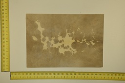 [22-5337-26-039] Speckled sheet 53 X 37 2ª ID.039