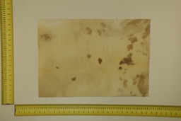 [22-5337-26-041] Speckled sheet 53 X 37 2ª ID.041