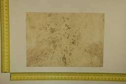 [22-5337-26-047] Speckled sheet 53 X 37 2ª ID.047