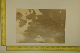 [22-5337-26-049] Speckled sheet 53 X 37 2ª ID.049
