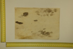 [22-5337-26-052] Speckled sheet 53 X 37 2ª ID.052